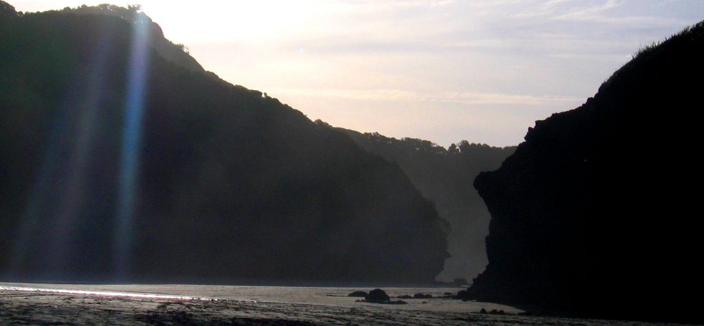 Bethells Beach