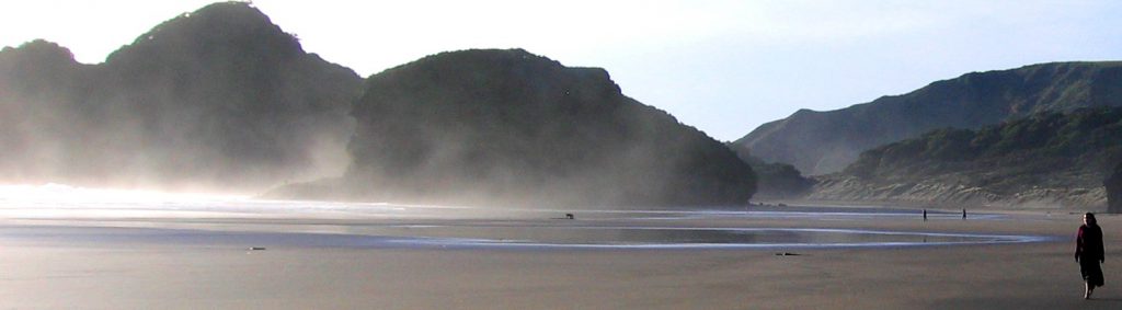 Bethells Beach