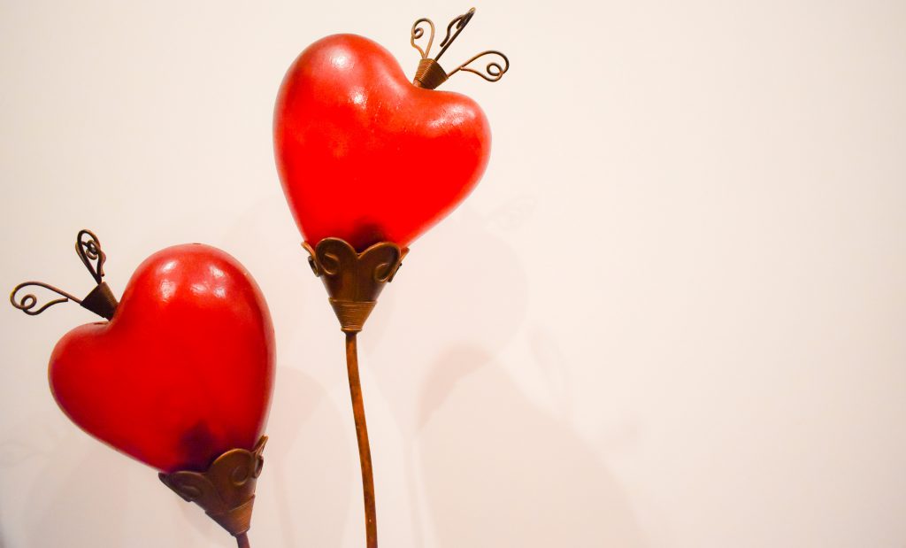 Auckland Accommodation